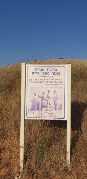 קובץ:2020-07-19T17 47 11.445756387649.jpg