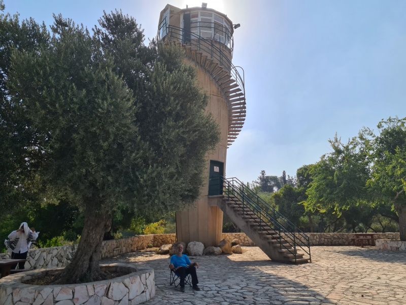 קובץ:2020-07-23T08 59 37.068681717267.jpg