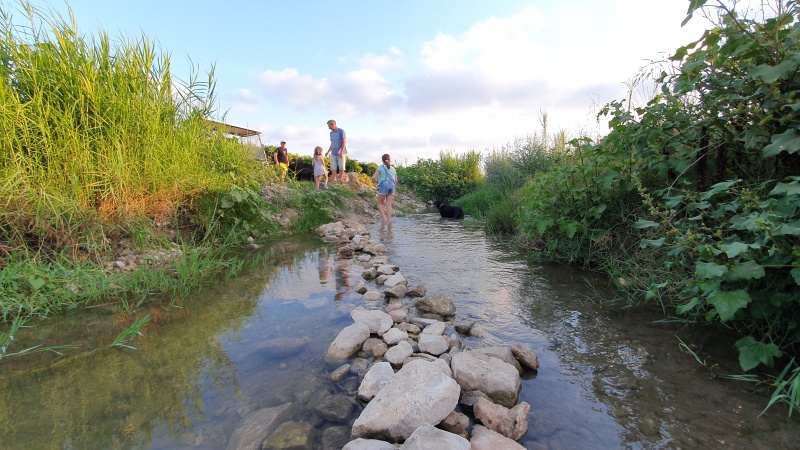 קובץ:2020-07-25T19 02 47.878843522660.jpg