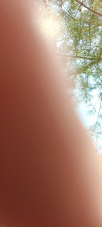 2020-07-31T15 00 11.772528934451.jpg