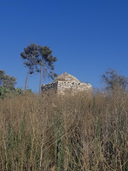 קובץ:2020-08-02T16 30 40.029140937608.jpg