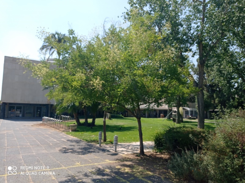קובץ:2020-08-03T14 53 51.275229859605.jpg