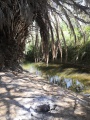 תמונה ממוזערת לגרסה מתאריך 12:45, 21 באוגוסט 2020