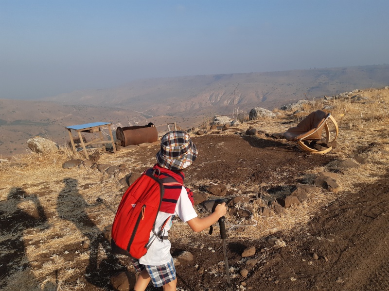 קובץ:2020-08-23T07 42 12.753507388444.jpg