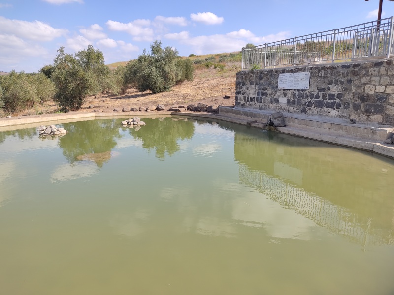 קובץ:2020-08-27T09 29 34.152774870140.jpg