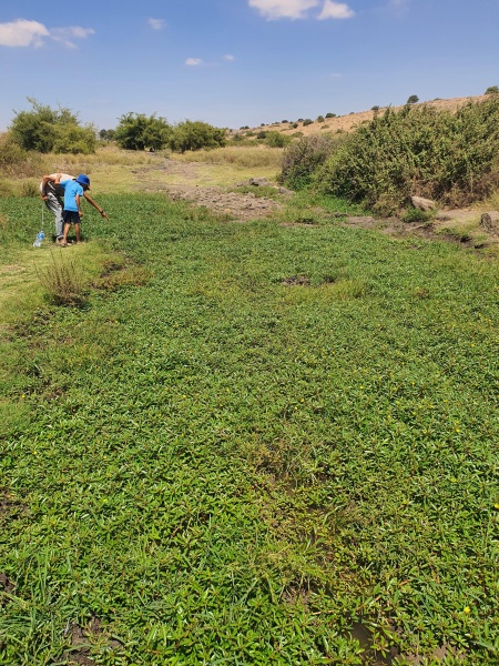 קובץ:2020-08-27T12 29 53.431331964711.jpg