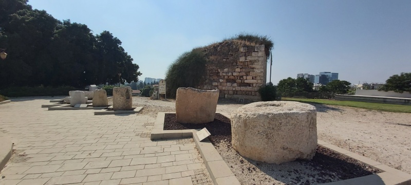 קובץ:2020-08-29T09 50 20.757508232475.jpg