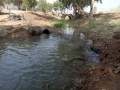 תמונה ממוזערת לגרסה מתאריך 06:57, 4 בספטמבר 2020