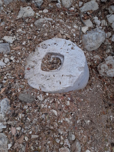 קובץ:2020-09-25T12 41 02.389443548131.jpg