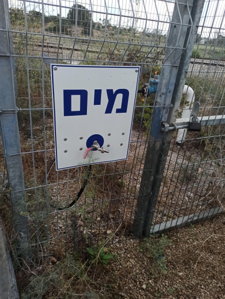 קובץ:2020-09-30T18 29 33.698641546325.jpg