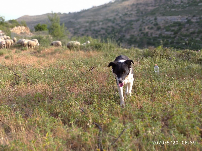 קובץ:2020-10-05T09 03 17.738589922580.jpg