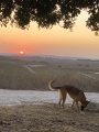 תמונה ממוזערת לגרסה מתאריך 15:37, 11 באוקטובר 2020