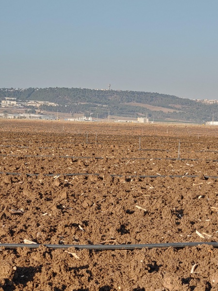 קובץ:2020-10-18T16 52 52.725444490057.jpg