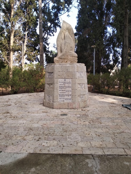 קובץ:2020-10-30T09 35 29.101772205708.jpg