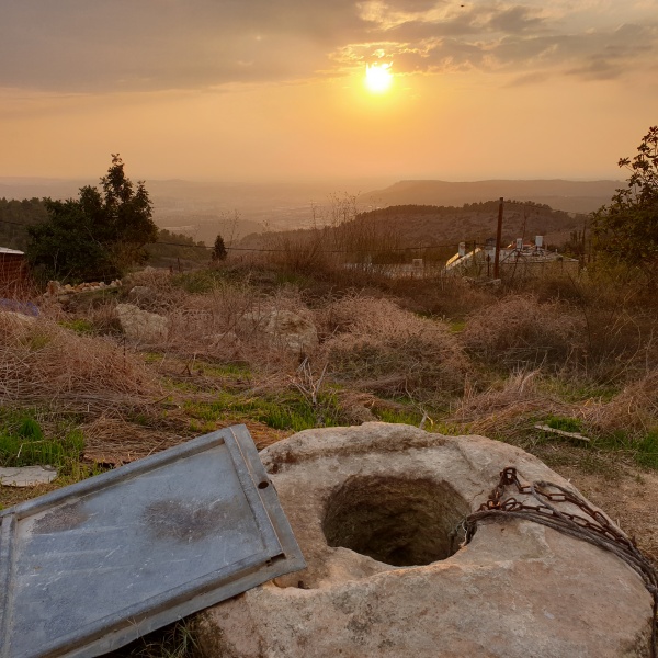 קובץ:2020-11-11T16 07 31.073906601648.jpg