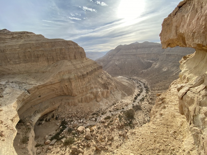 קובץ:2020-11-24T08 25 21.718415321458.jpg