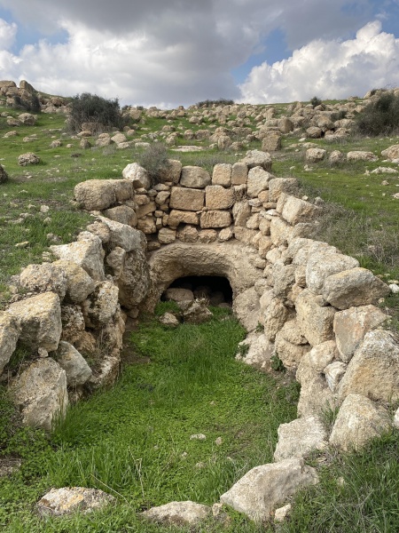 קובץ:2020-11-27T11 35 28.275405693131.jpg