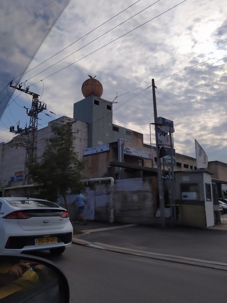 קובץ:2020-11-27T13 00 43.209598414600.jpg