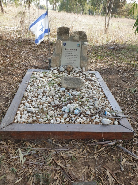 קובץ:2020-12-04T11 32 07.310411844789.jpg