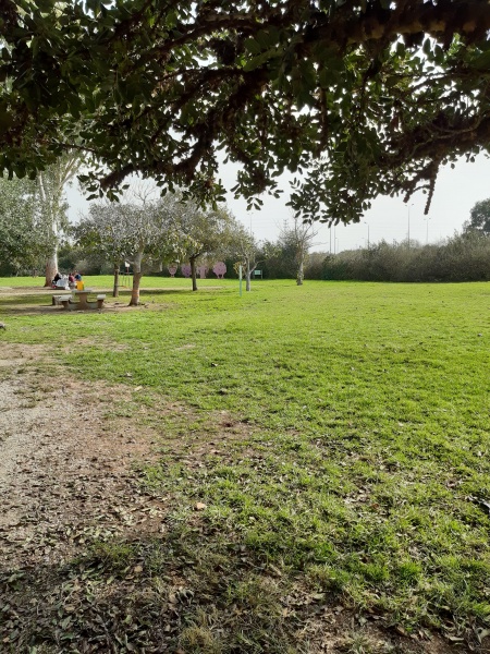 קובץ:2020-12-08T11 11 53.395752543225.jpg