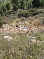 תמונה ממוזערת לגרסה מתאריך 10:59, 10 בדצמבר 2020