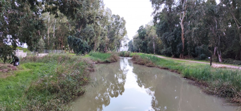 קובץ:2020-12-16T16 26 36.655025424291.jpg