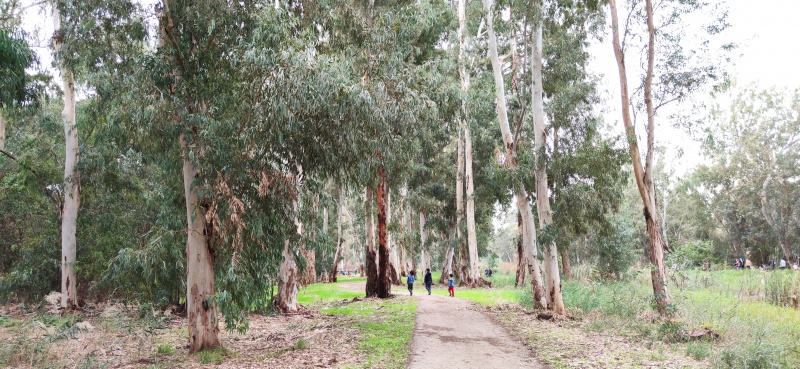 קובץ:2020-12-16T16 27 46.639928577421.jpg