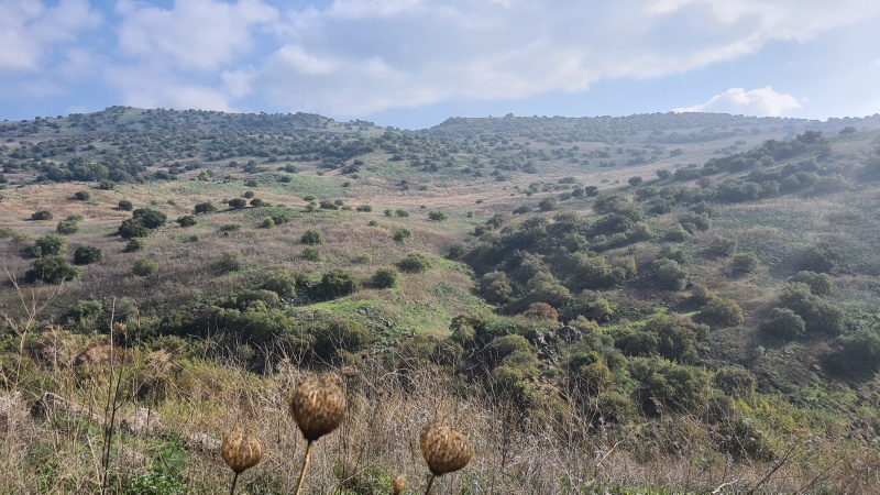 קובץ:2020-12-18T11 11 24.327106379047.jpg