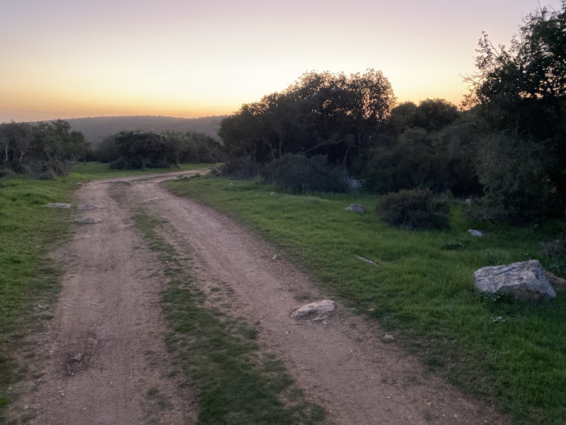 קובץ:2020-12-26T17 06 29.839021530180.jpg