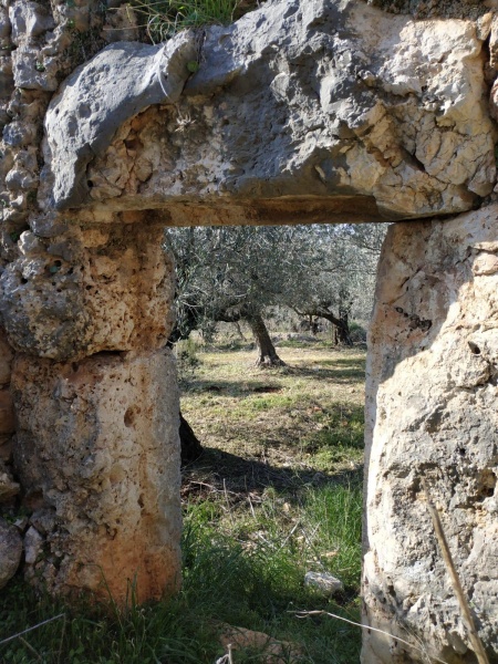 קובץ:2020-12-31T13 15 40.672759672289.jpg