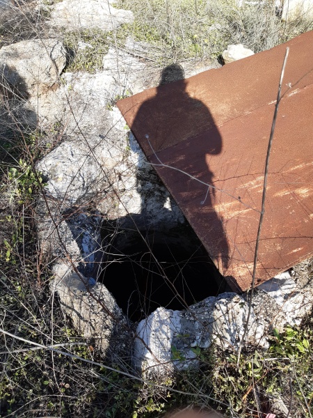 קובץ:2020-12-31T13 51 46.909403431874.jpg