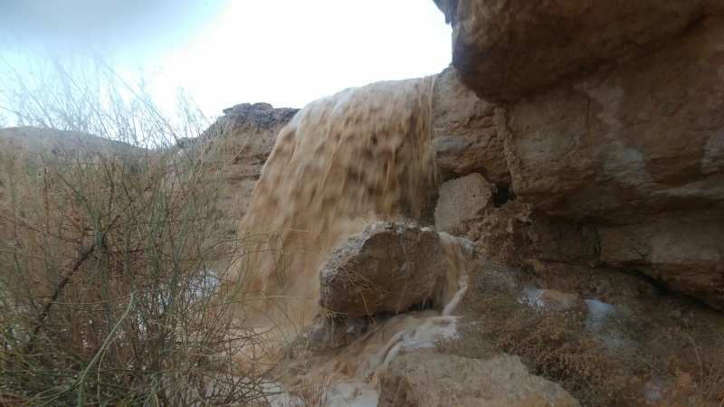 קובץ:20201214 152336.jpg