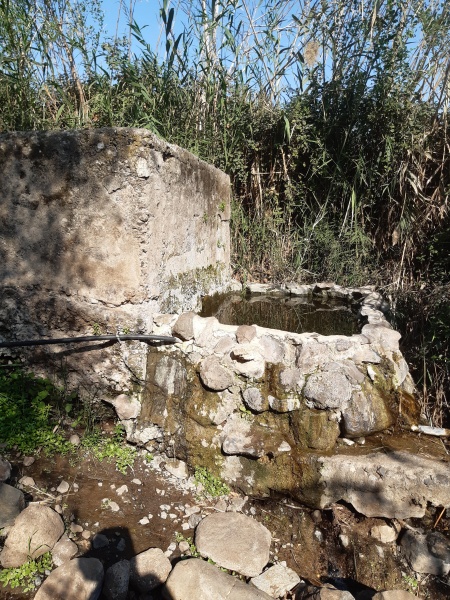 קובץ:2021-01-07T11 39 07.058087238059.jpg
