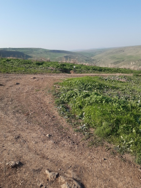 קובץ:2021-01-07T14 05 26.572534240974.jpg