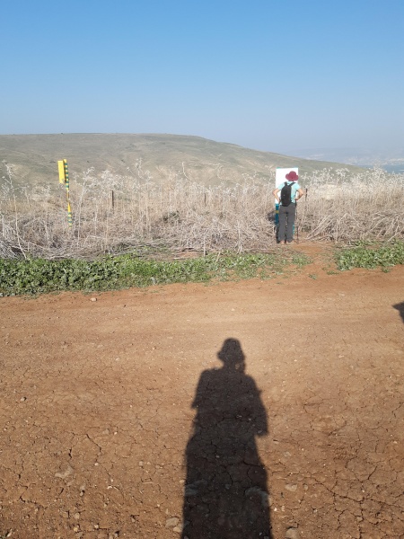 קובץ:2021-01-07T14 07 12.799652653282.jpg