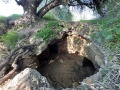 תמונה ממוזערת לגרסה מתאריך 11:55, 7 בינואר 2021