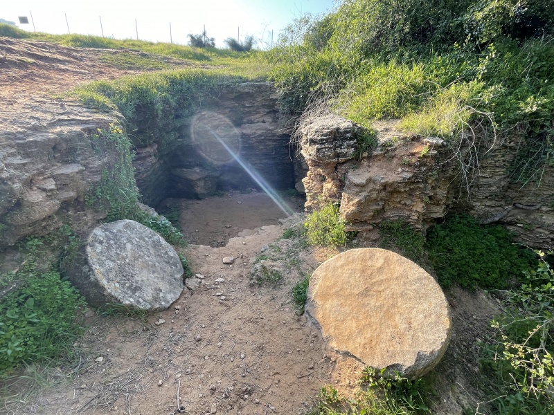 קובץ:2021-01-07T14 36 54.071302651800.jpg