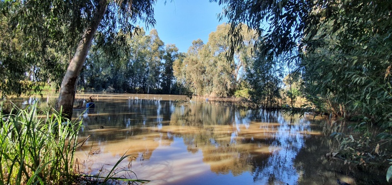 קובץ:2021-01-08T10 12 01.639207843663.jpg