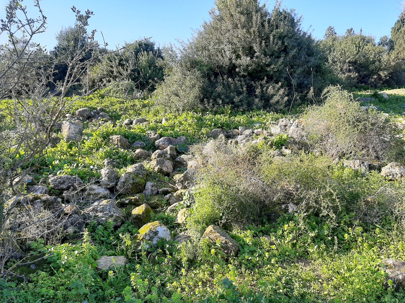 קובץ:2021-01-23T15 15 42.159758610901.jpg