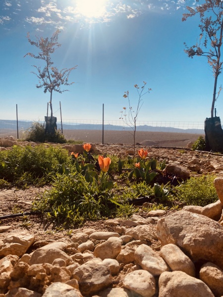 קובץ:2021-01-25T07 09 56.060993699996.jpg