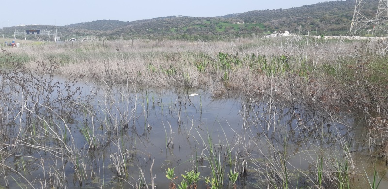 קובץ:2021-02-02T12 29 59.281482181132.jpg