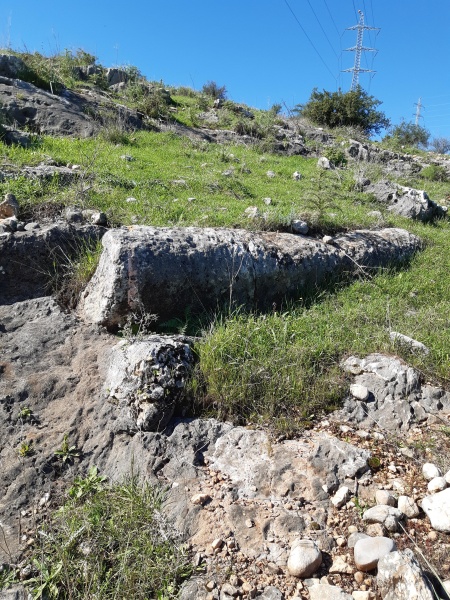קובץ:2021-02-09T10 09 35.256612195321.jpg