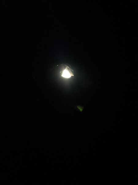 קובץ:2021-02-09T12 25 08.406144486235.jpg