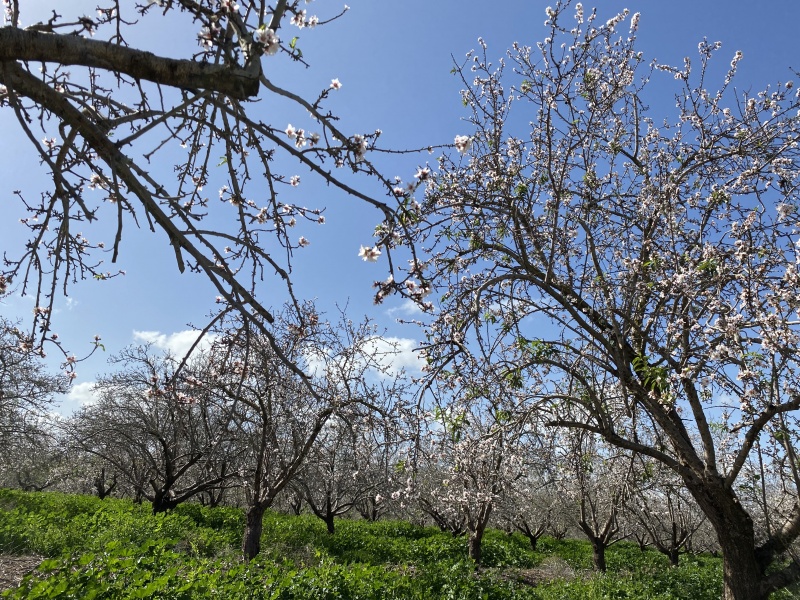 קובץ:2021-02-13T11 28 05.243644851923.jpg