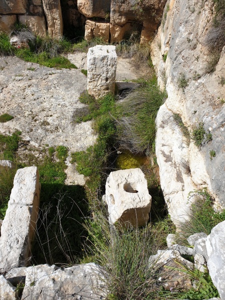 קובץ:2021-02-26T12 09 17.223539424664.jpg