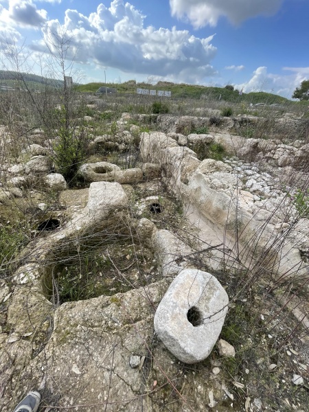 קובץ:2021-03-03T15 11 20.043182154054.jpg