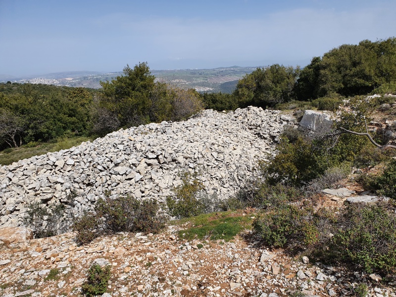 קובץ:2021-03-10T12 02 47.005124455469.jpg