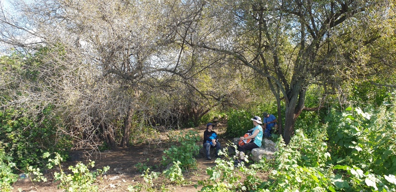 קובץ:2021-03-19T14 15 00.659879579617.jpg
