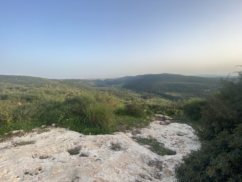 קובץ:2021-03-20T17 08 17.438465825172.jpg