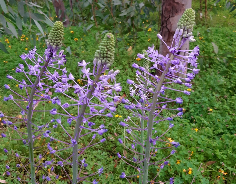 קובץ:2021-03-22T17 27 08.783590508642.jpg